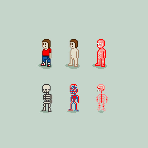 8bitanatomy