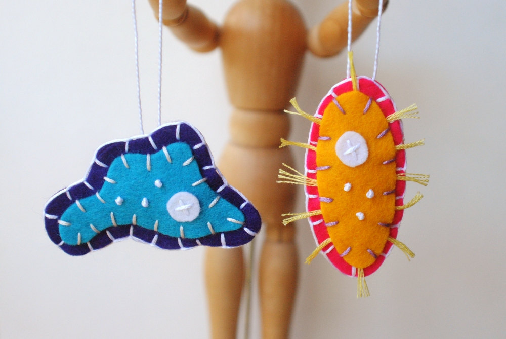 microbiology | | Page 2