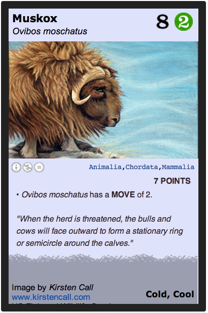 07muskox