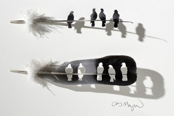 feather-art-chris-maynard1-600x400