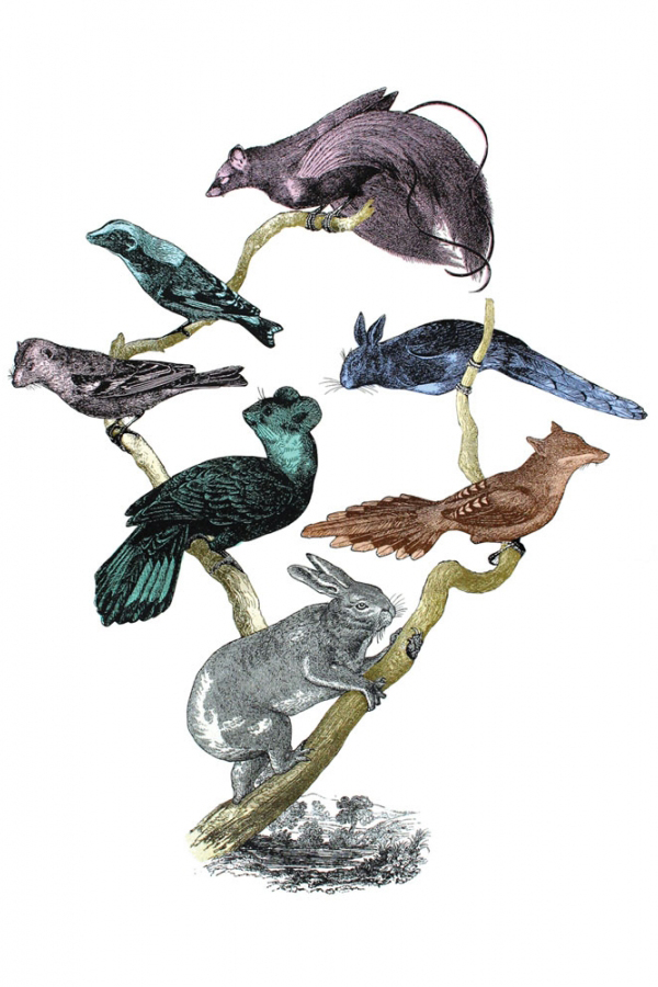 Penelope-Kenny-Collage-2