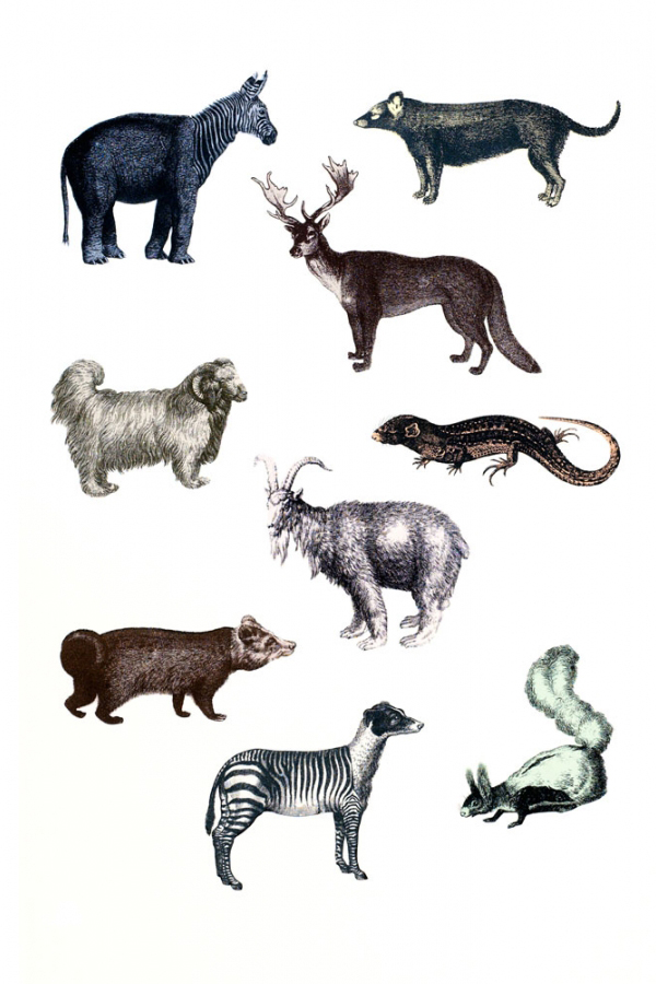 Penelope-Kenny-Collage-3