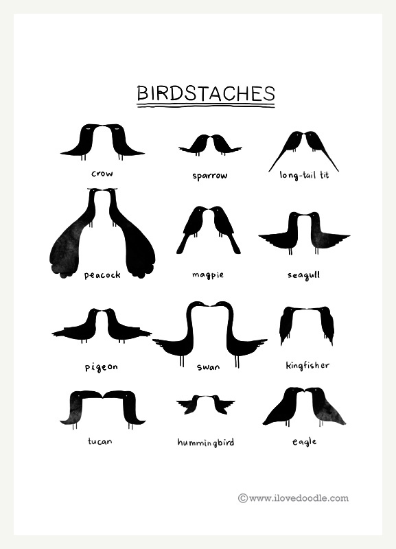 birdstaches