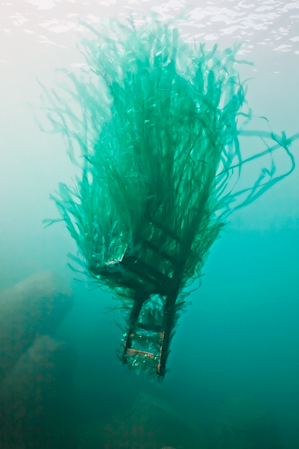 Forlane-6-Studio-Posidonia-1