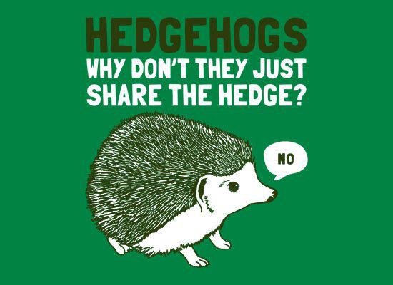 hedgehogsnoshare