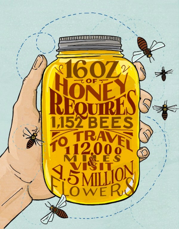 honeystats