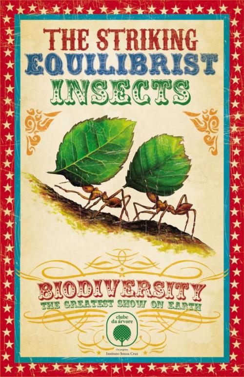 poster_insects_0
