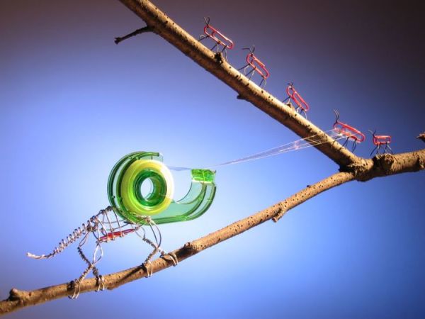 officesuppliesinthejungles