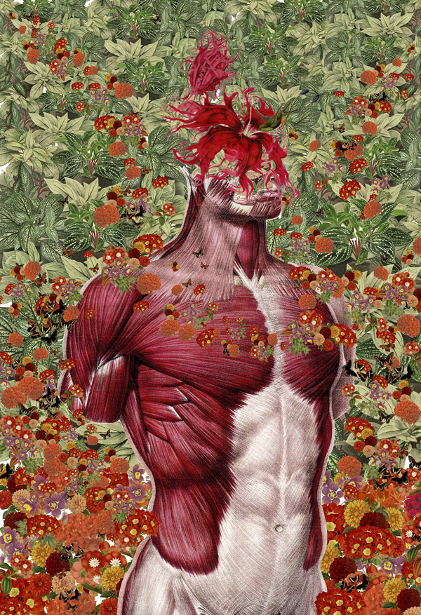Travis-Bedal-Anatomical-Paper-Collages-5
