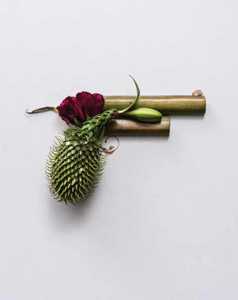 Harm-Less-by-Sonia-Rentsch-4_zpsf5e9048f