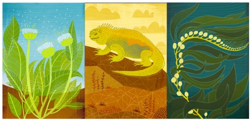 rachelignotofskydarwindeck