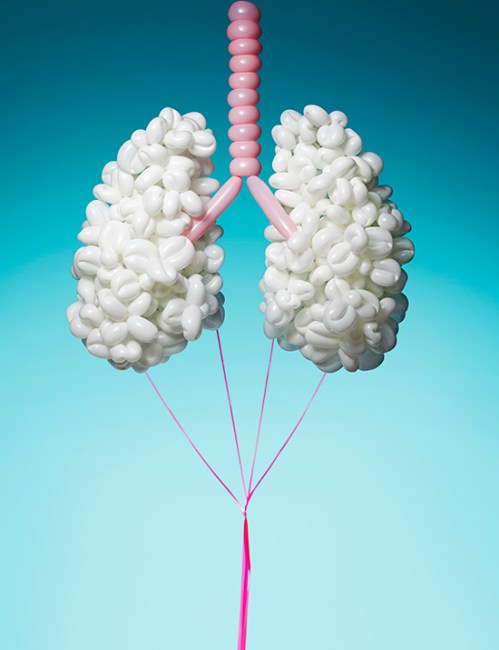 kerryhughes_pneumaticanatomy_web1