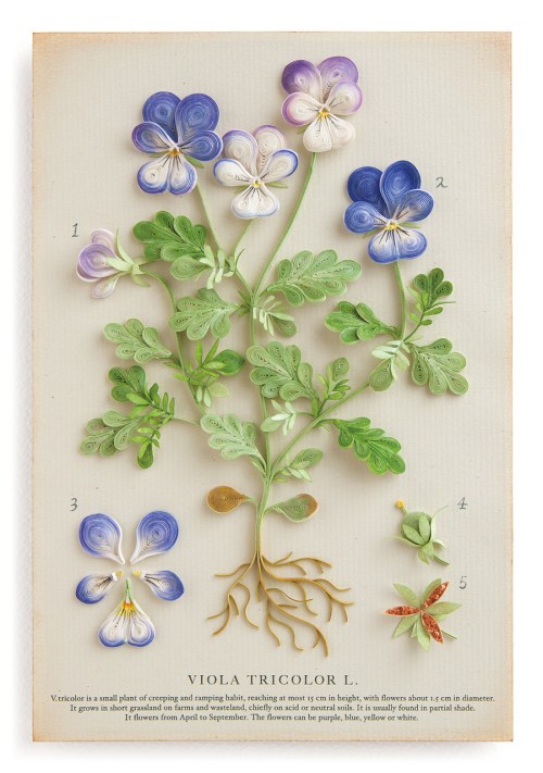 tumblr_nfovv2ZNz61tk2gfto2_1280