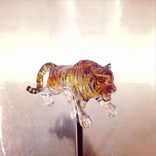 13312727_1191932950839290_4418119865109879633_n