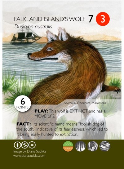 phylodarwinnoborders-004