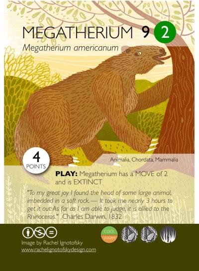 phylodarwinnoborders-013